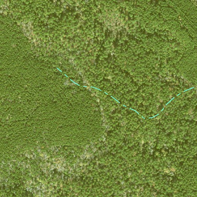 Individal Compartment Map of the Davy Crockett National Forest v78 Preview 2