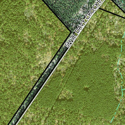 Individal Compartment Map of the Davy Crockett National Forest v78 Preview 3