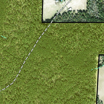 Individal Compartment Map of the Davy Crockett National Forest v97 Preview 2
