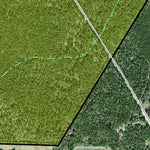 Individal Compartment Map of the Davy Crockett National Forest v97 Preview 3