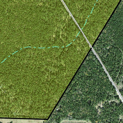 Individal Compartment Map of the Davy Crockett National Forest v97 Preview 3