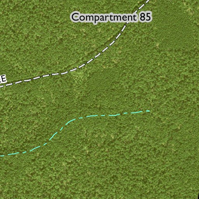 Individal Compartment Map of the Davy Crockett National Forest v104 Preview 2