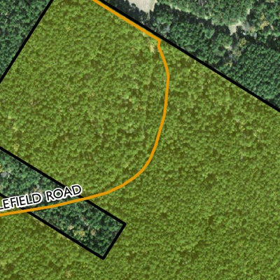 Individal Compartment Map of the Davy Crockett National Forest v70 Preview 3