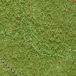Individal Compartment Map of the Davy Crockett National Forest v57 Preview 2