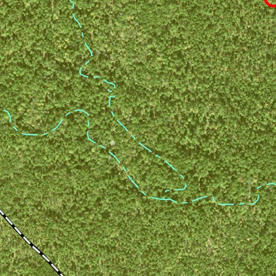 Individal Compartment Map of the Davy Crockett National Forest v57 Preview 2