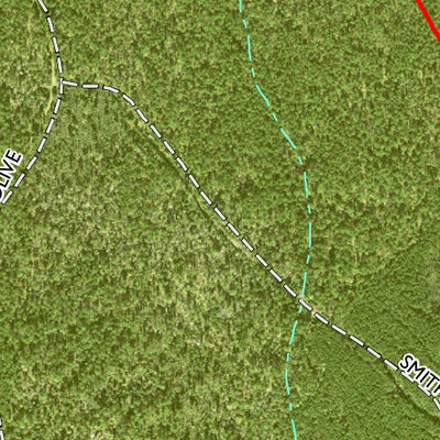 Individal Compartment Map of the Davy Crockett National Forest v57 Preview 3