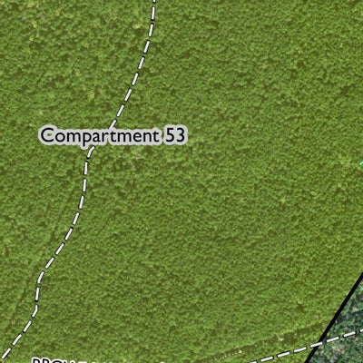 Individal Compartment Map of the Davy Crockett National Forest v71 Preview 2