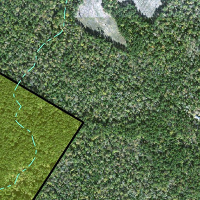 Individal Compartment Map of the Davy Crockett National Forest v71 Preview 3