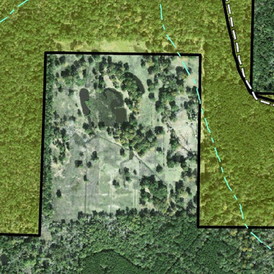 Individal Compartment Map of the Davy Crockett National Forest v94 Preview 2