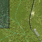 Individal Compartment Map of the Davy Crockett National Forest v94 Preview 3