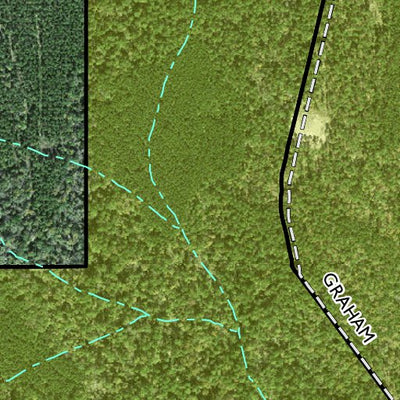 Individal Compartment Map of the Davy Crockett National Forest v94 Preview 3