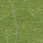 Individal Compartment Map of the Davy Crockett National Forest v72 Preview 2