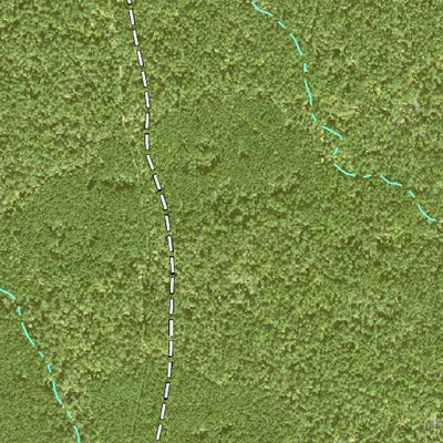 Individal Compartment Map of the Davy Crockett National Forest v72 Preview 2