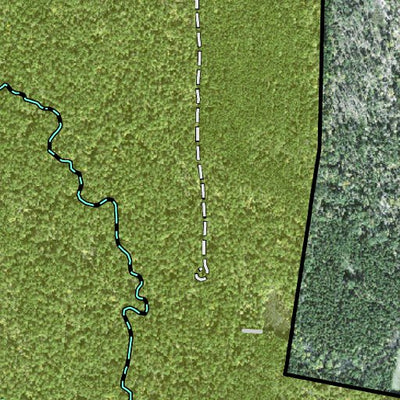 Individal Compartment Map of the Davy Crockett National Forest v72 Preview 3
