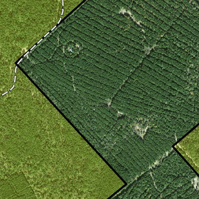 Individal Compartment Map of the Davy Crockett National Forest v106 Preview 2