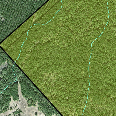 Individal Compartment Map of the Davy Crockett National Forest v106 Preview 3