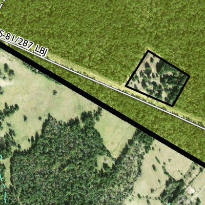 Individal Compartment Map of the Davy Crockett National Forest v117 Preview 2