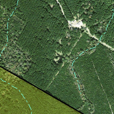 Individal Compartment Map of the Davy Crockett National Forest v117 Preview 3