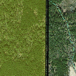 Individal Compartment Map of the Davy Crockett National Forest v81 Preview 2