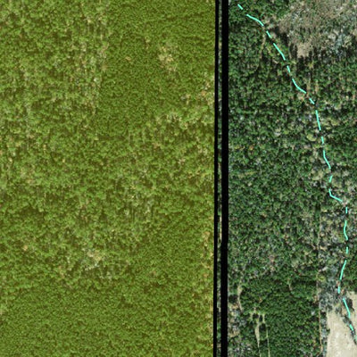 Individal Compartment Map of the Davy Crockett National Forest v81 Preview 2