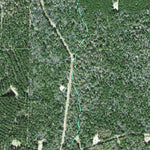 Individal Compartment Map of the Davy Crockett National Forest v81 Preview 3