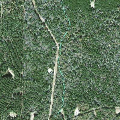 Individal Compartment Map of the Davy Crockett National Forest v81 Preview 3