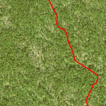 Individal Compartment Map of the Davy Crockett National Forest v82 Preview 2