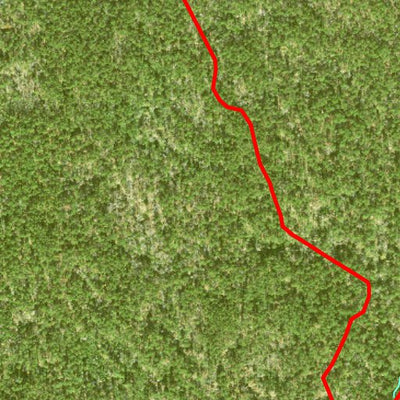 Individal Compartment Map of the Davy Crockett National Forest v82 Preview 2
