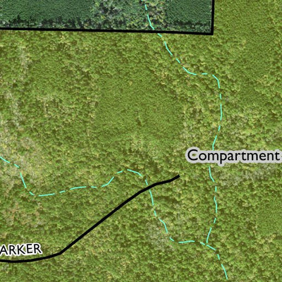 Individal Compartment Map of the Davy Crockett National Forest v99 Preview 2