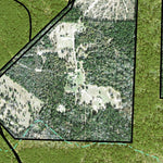 Individal Compartment Map of the Davy Crockett National Forest v99 Preview 3