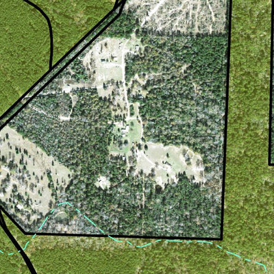 Individal Compartment Map of the Davy Crockett National Forest v99 Preview 3