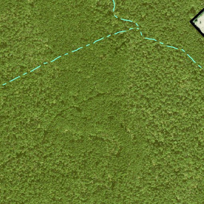 Individal Compartment Map of the Davy Crockett National Forest v111 Preview 2