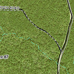 Individal Compartment Map of the Davy Crockett National Forest v111 Preview 3