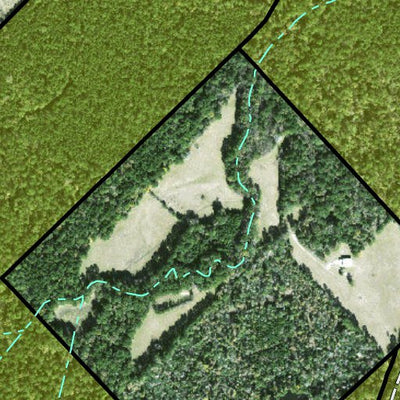 Individal Compartment Map of the Davy Crockett National Forest v116 Preview 3