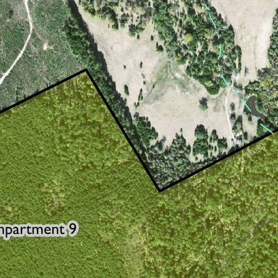 Individal Compartment Map of the Davy Crockett National Forest v120 Preview 2