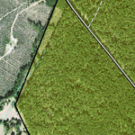 Individal Compartment Map of the Davy Crockett National Forest v120 Preview 3