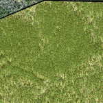 Individal Compartment Map of the Davy Crockett National Forest v83 Preview 3