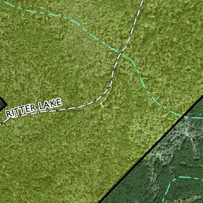 Individal Compartment Map of the Davy Crockett National Forest v119 Preview 2