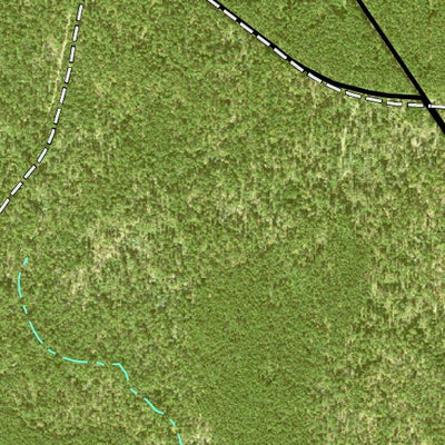 Individal Compartment Map of the Davy Crockett National Forest v85 Preview 3