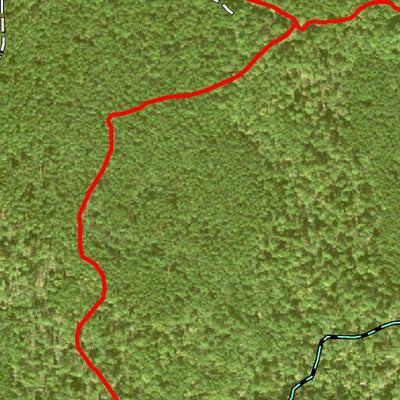 Individal Compartment Map of the Davy Crockett National Forest v90 Preview 2