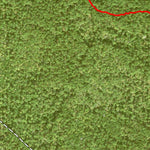 Individal Compartment Map of the Davy Crockett National Forest v90 Preview 3