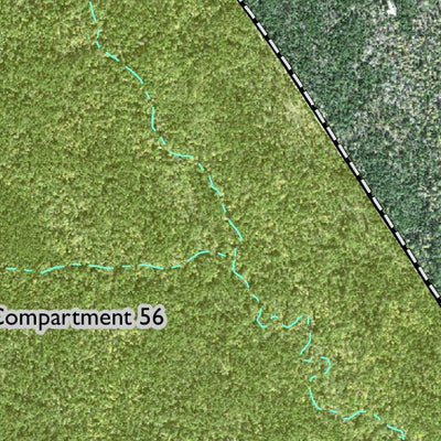Individal Compartment Map of the Davy Crockett National Forest v73 Preview 3