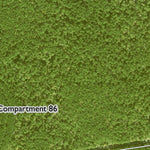Individal Compartment Map of the Davy Crockett National Forest v105 Preview 2