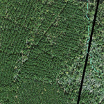 Individal Compartment Map of the Davy Crockett National Forest v105 Preview 3