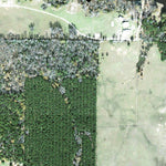 Individal Compartment Map of the Davy Crockett National Forest v88 Preview 2
