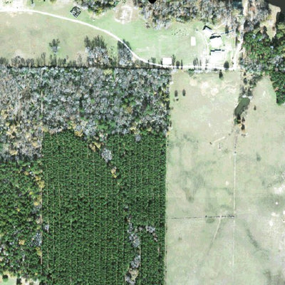 Individal Compartment Map of the Davy Crockett National Forest v88 Preview 2