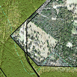 Individal Compartment Map of the Davy Crockett National Forest v88 Preview 3
