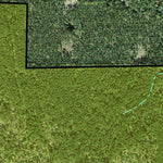 Individal Compartment Map of the Davy Crockett National Forest v98 Preview 2