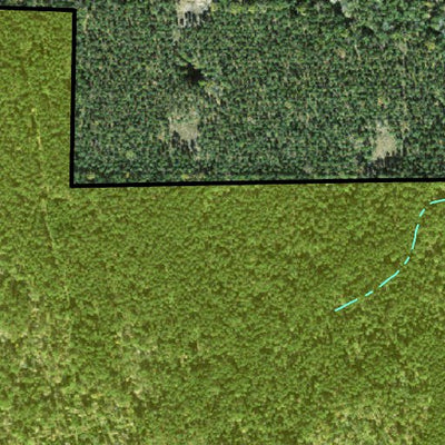Individal Compartment Map of the Davy Crockett National Forest v98 Preview 2