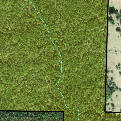 Individal Compartment Map of the Davy Crockett National Forest v98 Preview 3